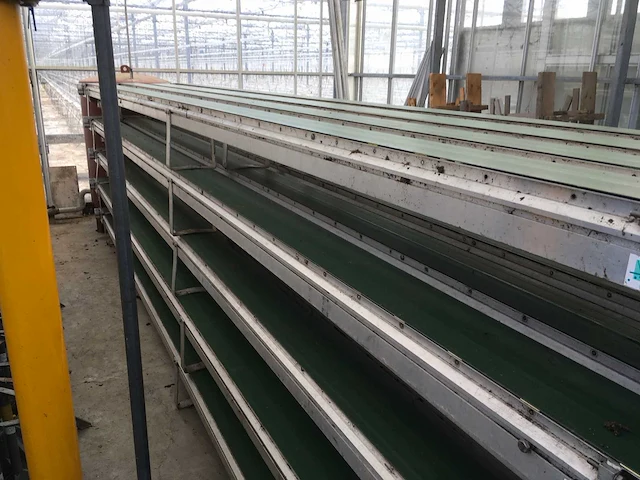 Pot plant transportbanden (22x) - afbeelding 7 van  7