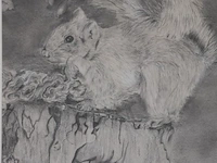 Potloodtekening - afbeelding 2 van  3