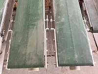Potplant transportband - afbeelding 2 van  15