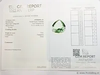 Prasiolite 72.01ct gra certified - afbeelding 8 van  8