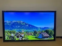 Predia (ots-065) 65", 3840x2160 (4k) led touch monitor