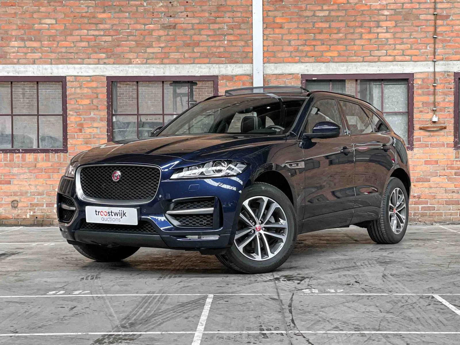 Premium daily drivers & mixed vehicles te boxmeer