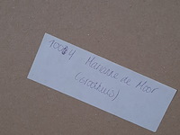 Prent, m. van moor, stepping forward 7/11, 1999 - afbeelding 8 van  9