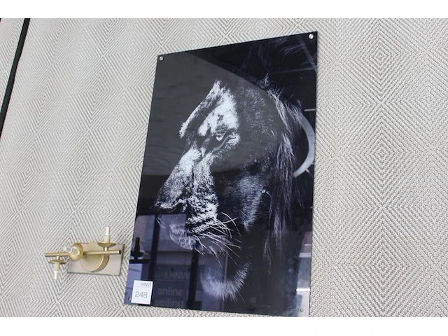 Prent op plexiglas met afmeting 60 x 90 cm. - afbeelding 1 van  2