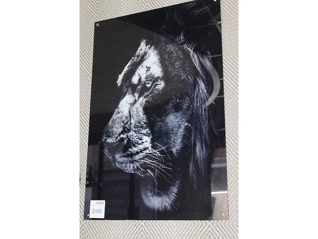 Prent op plexiglas met afmeting 60 x 90 cm. - afbeelding 2 van  2