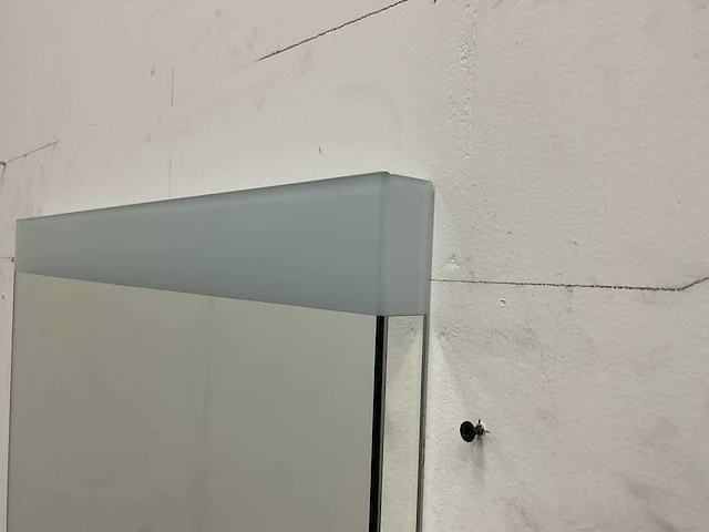 Primabad - spas 600 - spiegel 60x75 cm - afbeelding 4 van  6