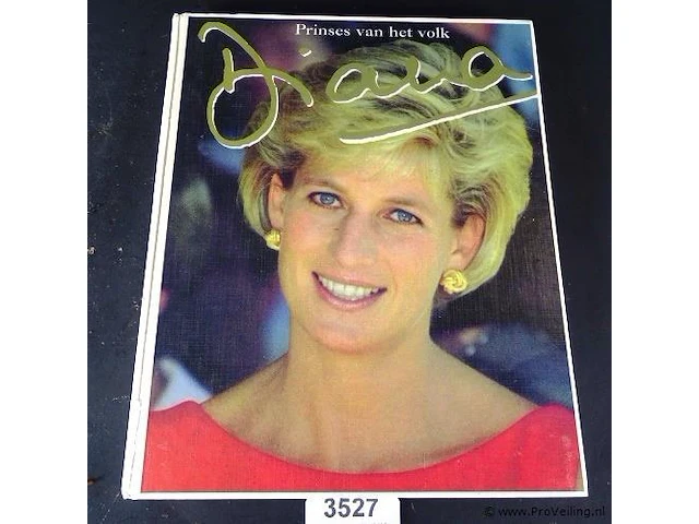 Prinses van het volk diana - afbeelding 1 van  5