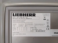 Professionele vriezer, liebherr, ggpv 6570 - afbeelding 5 van  6