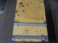 Protaurus - afbeelding 3 van  6