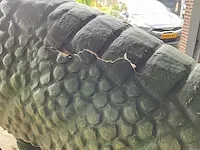 Protoceratops ride - afbeelding 5 van  19