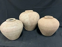 Ptmd cava vaas (3x)