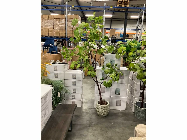 Ptmd kunstplant met pot - afbeelding 2 van  5