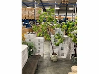 Ptmd kunstplant met pot - afbeelding 2 van  5