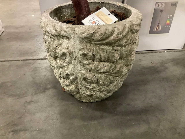 Ptmd kunstplant met pot - afbeelding 5 van  5