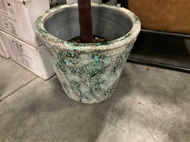 Ptmd kunstplant met pot - afbeelding 2 van  2