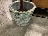 Ptmd kunstplant met pot - afbeelding 2 van  2