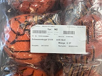 Putzmeister sk100 various concrete equipment - afbeelding 3 van  19