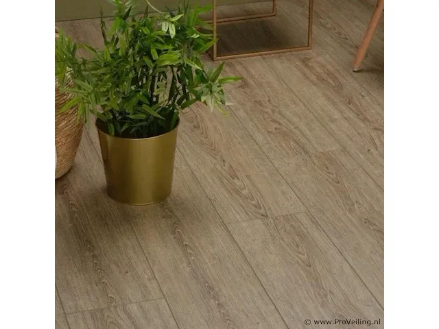 Pvc vloeren click, rosanne, partij 81,4 m2 - afbeelding 2 van  2