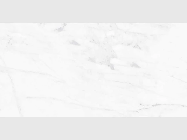 Qua granite calacatta gepolijst 60x60 cm tegel 46,08 m² - afbeelding 8 van  10