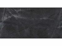 Qua granite space anthracite gepolijst vloertegel 60x60 cm 46,08 m² - afbeelding 5 van  8