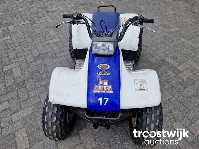 Quad | 125 cc | 4 takt | semi automaat - afbeelding 3 van  10