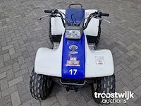 Quad | 125 cc | 4 takt | semi automaat - afbeelding 3 van  10