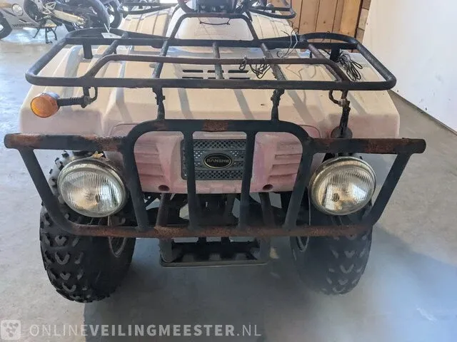 Quad jianshe, puma 250, bouwjaar 2006 - afbeelding 3 van  17