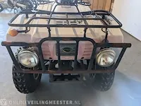 Quad jianshe, puma 250, bouwjaar 2006 - afbeelding 3 van  17
