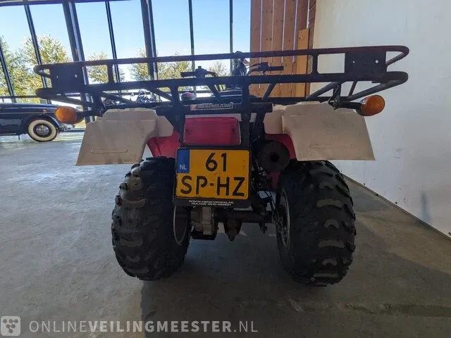 Quad jianshe, puma 250, bouwjaar 2006 - afbeelding 5 van  17