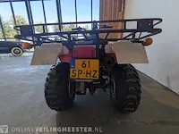 Quad jianshe, puma 250, bouwjaar 2006 - afbeelding 5 van  17
