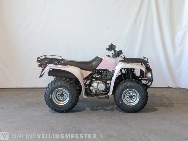 Quad jianshe, puma 250, bouwjaar 2006 - afbeelding 1 van  17
