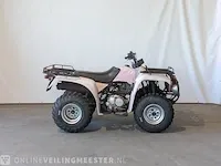 Quad jianshe, puma 250, bouwjaar 2006 - afbeelding 1 van  17
