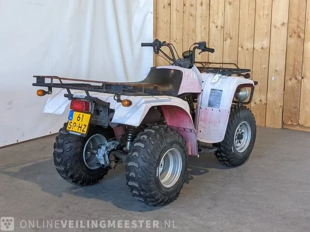 Quad jianshe, puma 250, bouwjaar 2006 - afbeelding 10 van  17