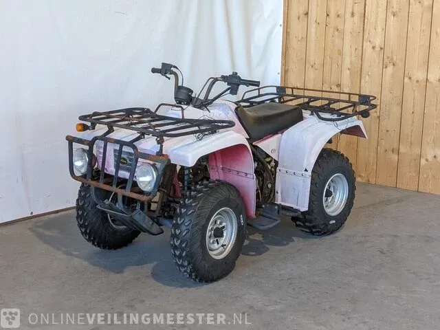 Quad jianshe, puma 250, bouwjaar 2006 - afbeelding 11 van  17
