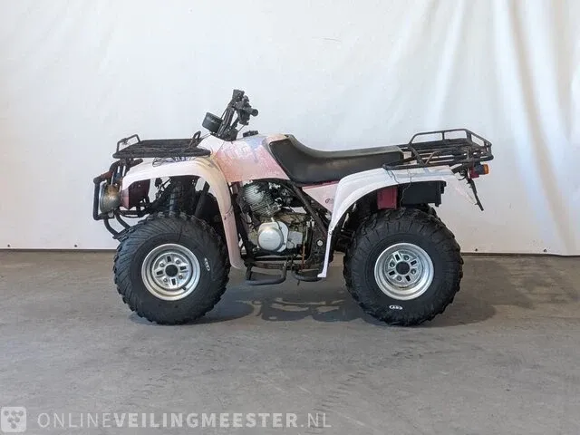 Quad jianshe, puma 250, bouwjaar 2006 - afbeelding 12 van  17