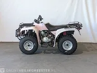 Quad jianshe, puma 250, bouwjaar 2006 - afbeelding 12 van  17