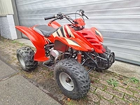 Quad - afbeelding 5 van  6