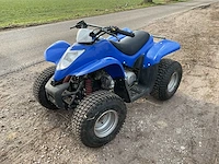 Quad - afbeelding 1 van  10