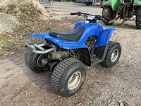 Quad - afbeelding 5 van  10