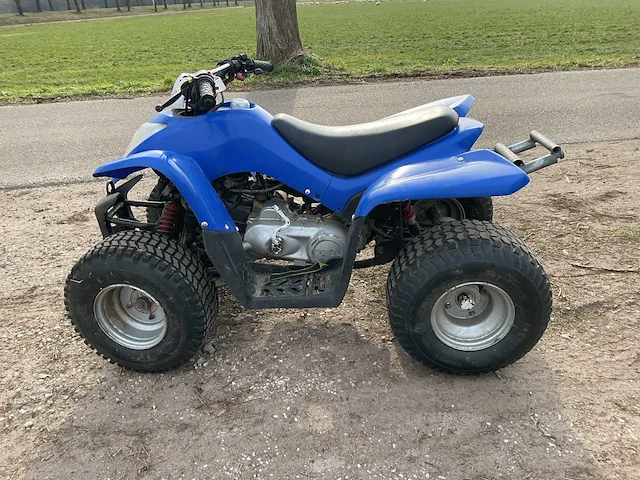 Quad - afbeelding 7 van  10