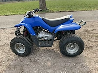 Quad - afbeelding 7 van  10