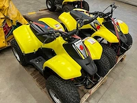 Quadbaan incl. 3 quads - afbeelding 2 van  12