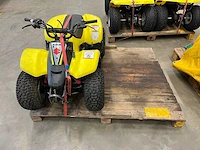 Quadbaan incl. 3 quads - afbeelding 3 van  12