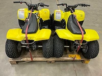 Quadbaan incl. 3 quads - afbeelding 7 van  12