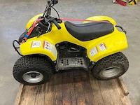 Quadbaan incl. 3 quads - afbeelding 11 van  12