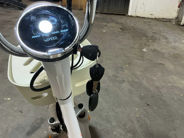Raccoon incalcu classic rc-g1.5 fatbike - afbeelding 3 van  16