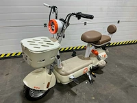 Raccoon incalcu rc-g1.5 fatbike - afbeelding 6 van  13