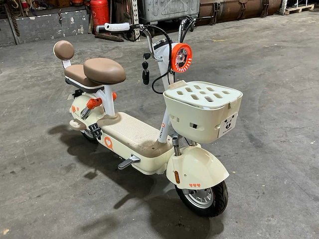 Raccoon incalcu rc-g1.5 fatbike - afbeelding 7 van  13