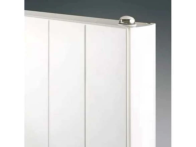 Radson faro v 2100-600-21 designradiator verticaal - afbeelding 1 van  2