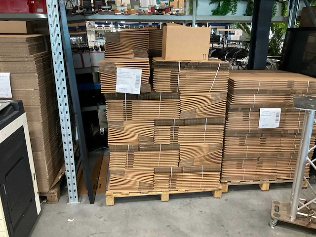 Raja kartonnen dozen (440x) - afbeelding 1 van  3
